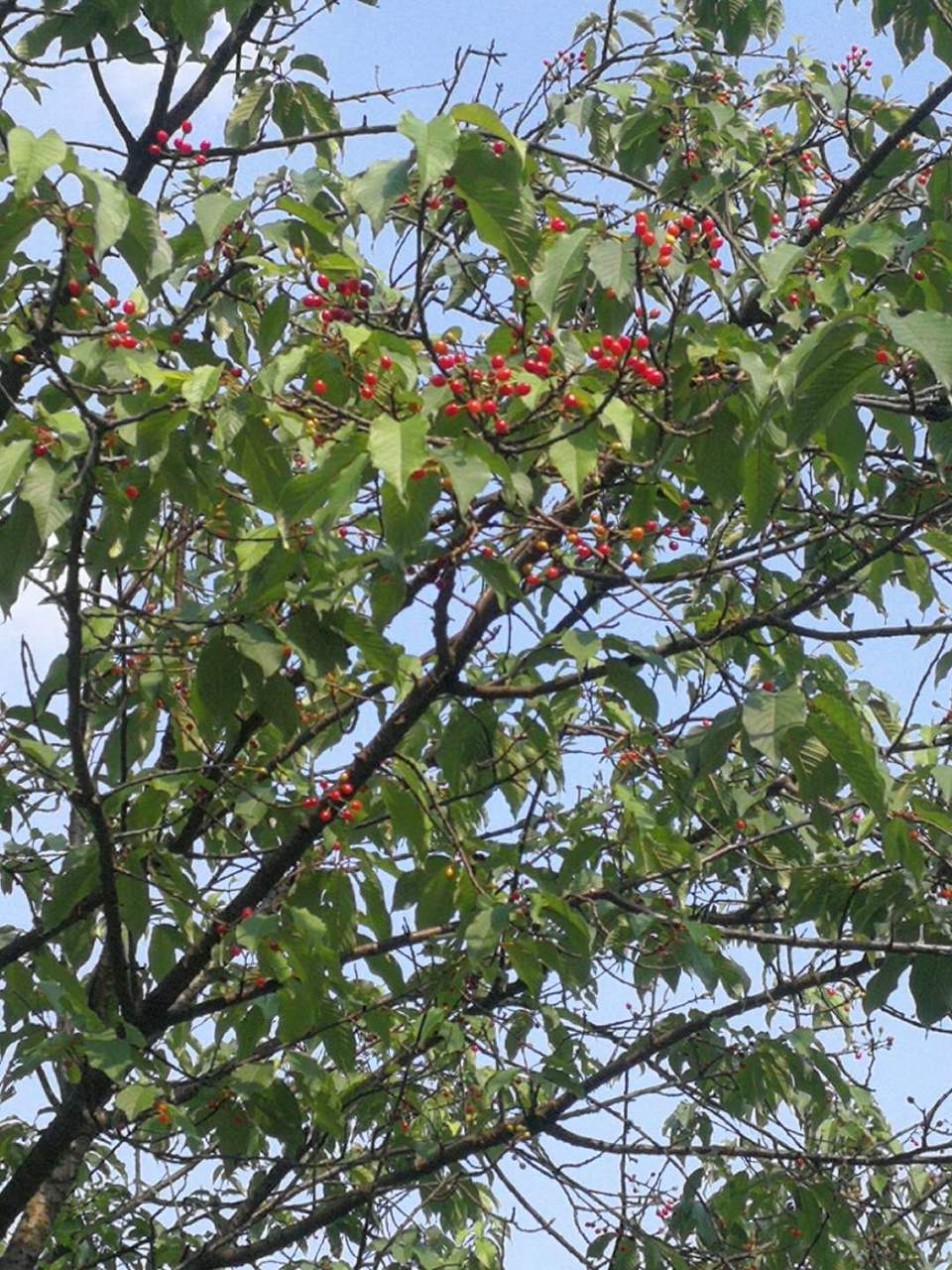 0YECeR58Xf3aWcx3EYaRMpc_ksjNAMPT_xN9qjDO_DEFcEMKLpAC0WAMTyTtSyEc