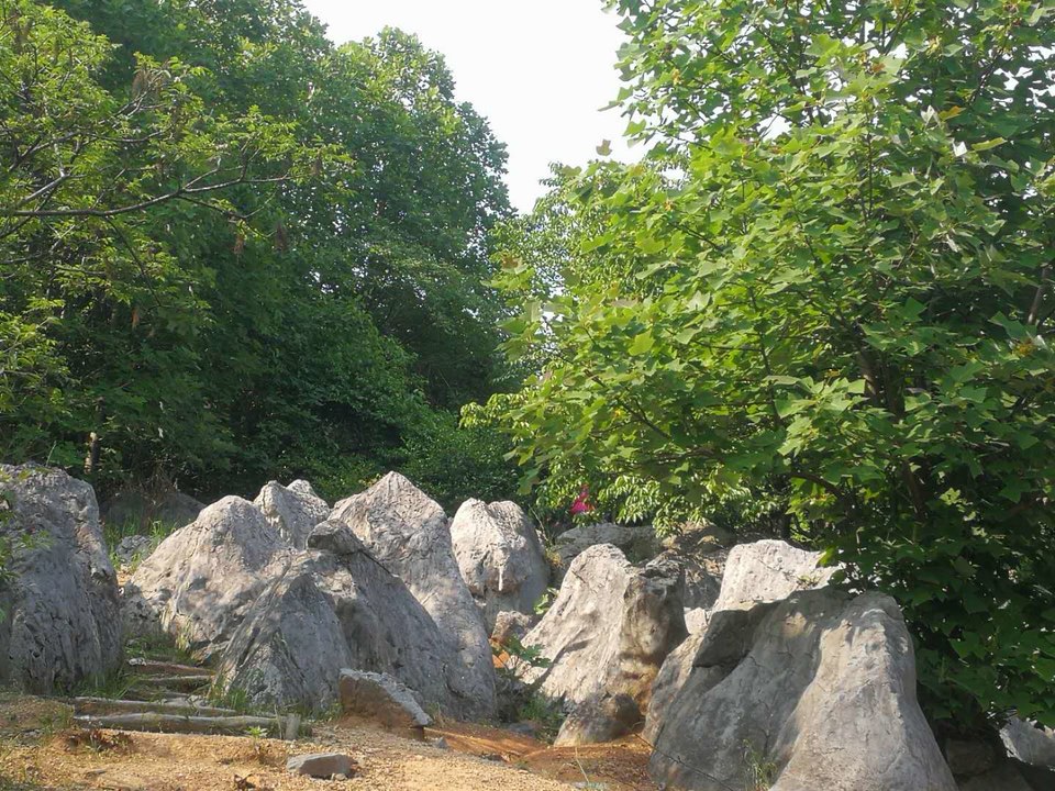 8DdF6Pso93agbkCDjBmVMFGPpqEzjoSJe23SBSJOKPB0UYzJ6wjf-AVLupqD5b5z