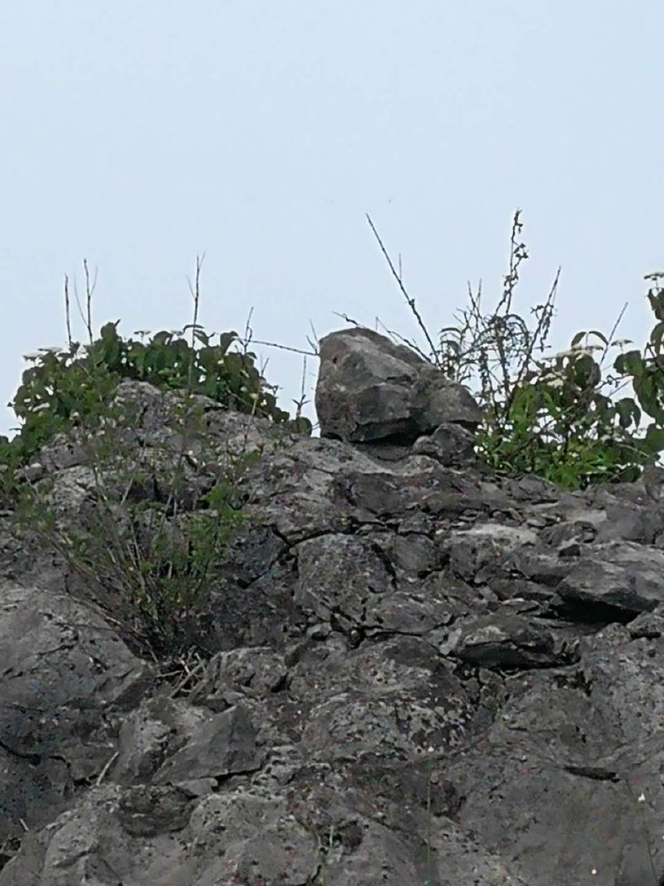 a-yjnZTsQNdj54357u-Nbc0aYs7GEggwP0v77xPdEcQN6_7skfjC6o3fNPi6Ip_s