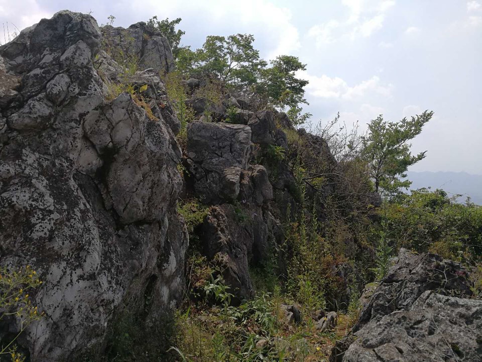 IfI91_d5rp-UZXZMXqbpEfaPaEyaw1rhvccv930j_mk8ic28zY_Ij0ll7NBWf_4W