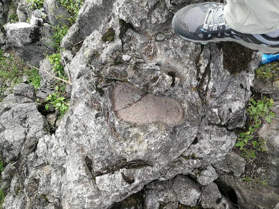 oz_RZ6JY8nB1Ly11aSGcbxA03W_uxOcBZu908bZXWyPJRrh7Jcbttr6YSsWsT7vV