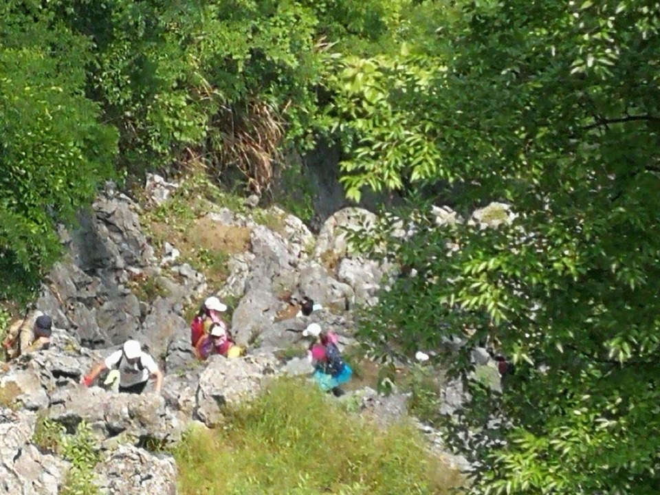 PRnsTNA_W6DkXu7FurnfbTdWVOUmQ8U5izS70qQDYO_jDa_Bl63qsEMrQg4wPdJ1