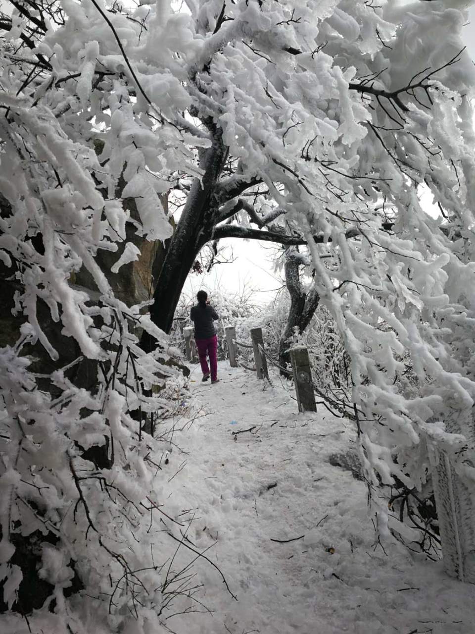 BYFBuPymuOCO_KxyBAJzWOtgmRvPl5G9Ccao7dXNv4lxOCiIi4g0MzRZQYA-ggr9