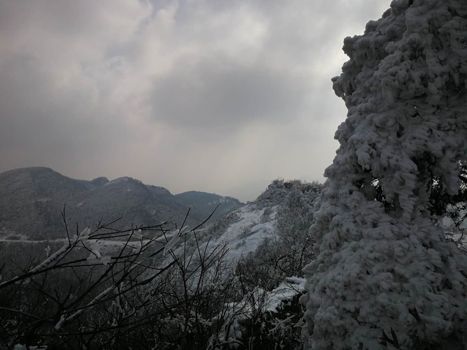 Dcbx-PDZK1vKx-cDCofXdiEMDco04gOdFxVGg_LFvnTSz8P6HBgNeg5sGhnPs5ji