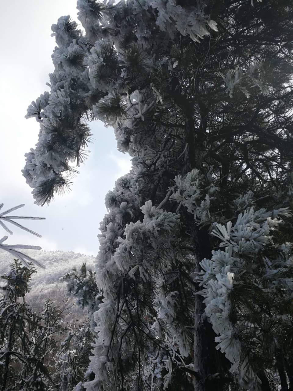 hz7d8QufK48z82Hdgq2GYeB1rbJdHVgvF0slRW5o0W9Jdr-ZE76icrRetkz2sSS7