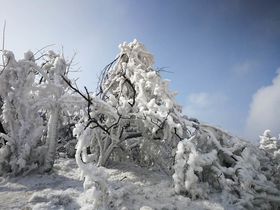 ywmC-WmpnpQuQmafuy_gSdNVuM_rLBBl5Ax6X6nIP7DDA5hfVuTcejc66TU0gRP3