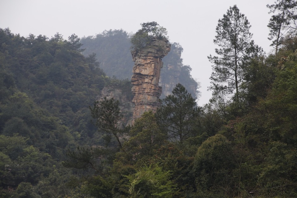 20180401085101__MG_8698