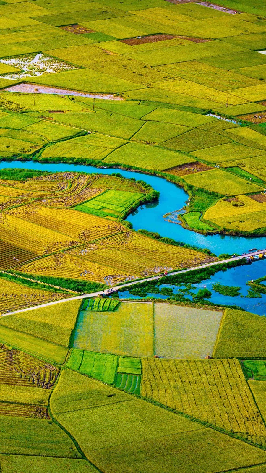 magazine-unlock-01-2.3.955-_c9580e72a92a48d394a327d0eef80990