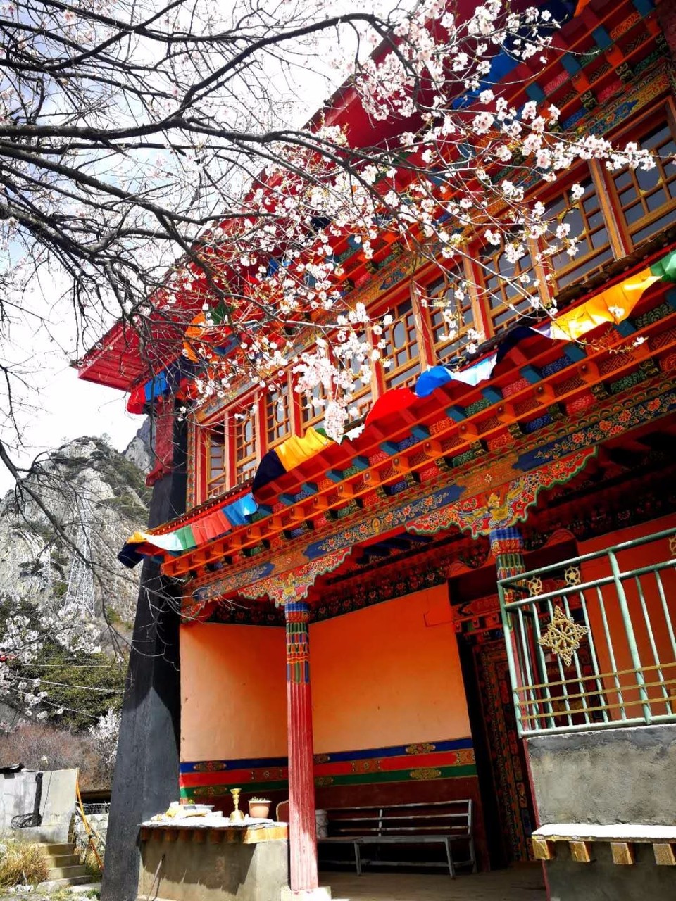 mmexport1523614524381