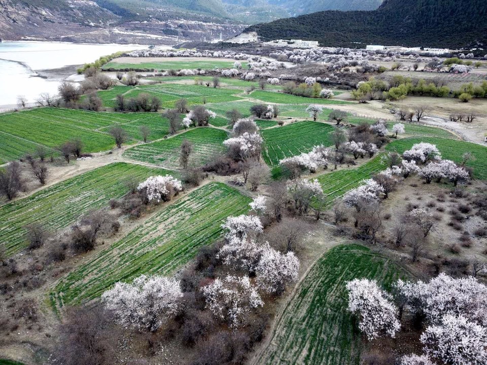 mmexport1523366994701