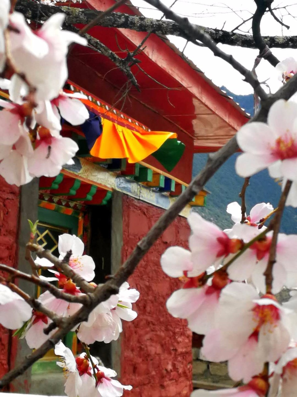 mmexport1523614558617