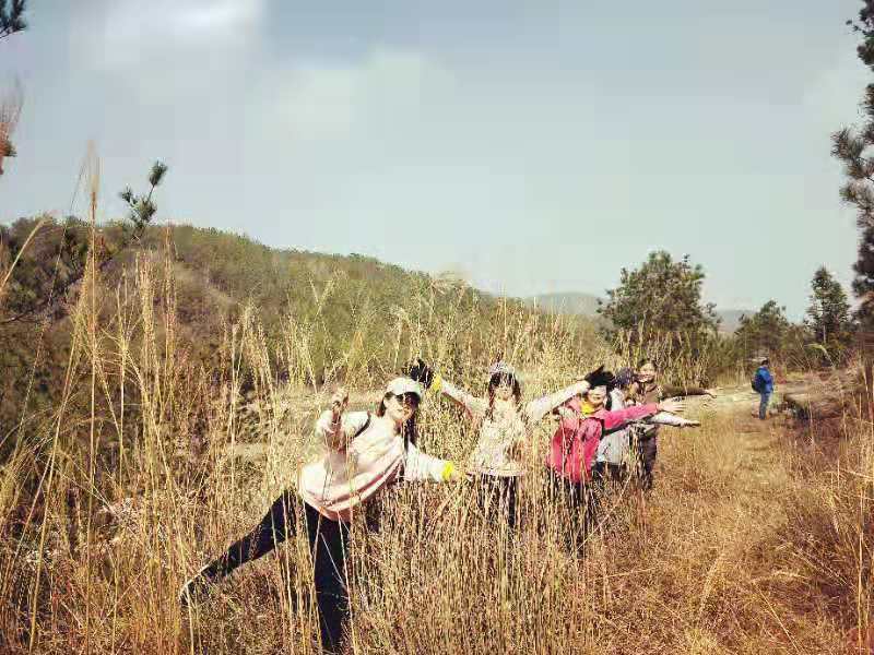 REO9GRB-7kQ9sotvbo_sWDANTluPShyolmiNF_P43ySwR0NFy6n7TuuXX2kvFZpv