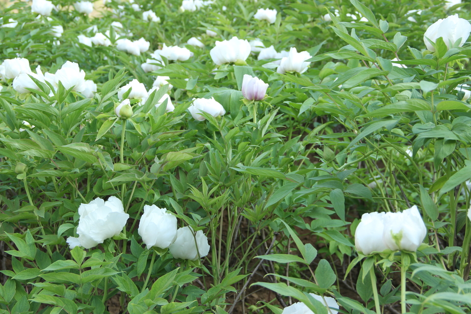 lj0neHnI1EtQn0bHDCYqJF5eDjKgvhZoQ0_fkieH05ivOcBEKQqHWA2WSGavPul6