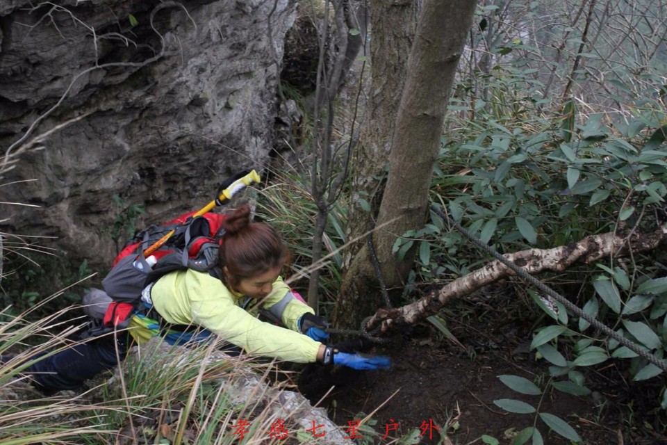 mmexport1511313839898