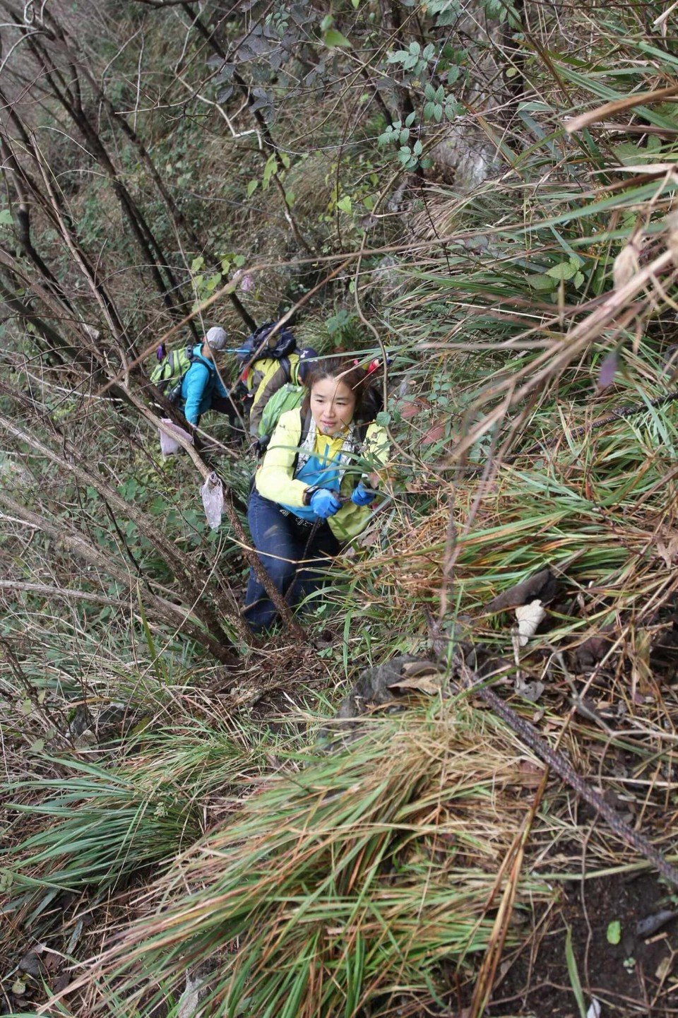 mmexport1511313783760