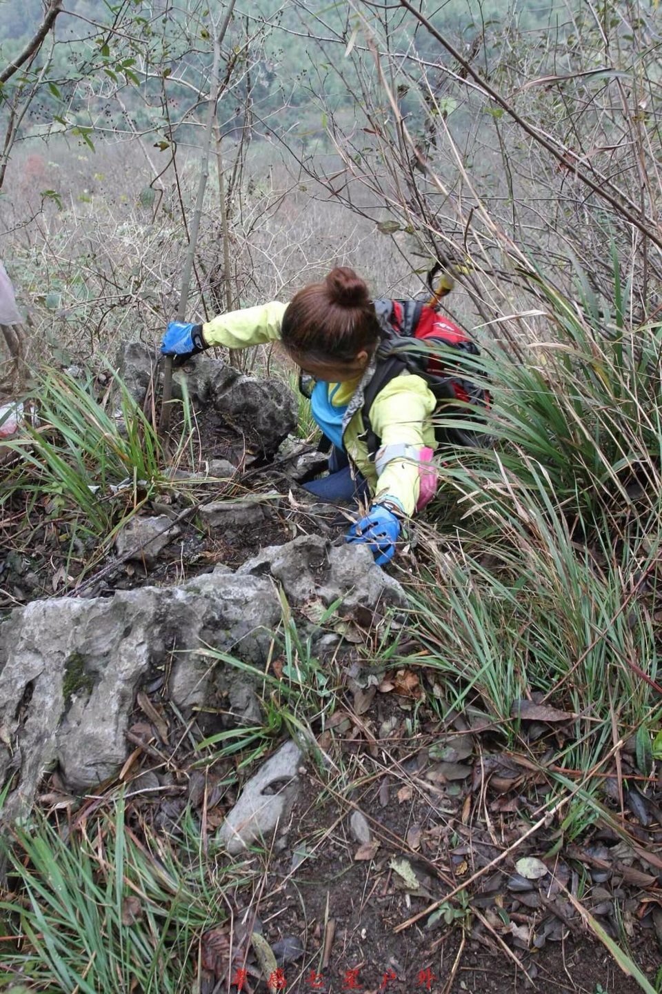 mmexport1511313809460