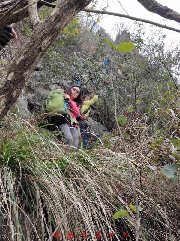 mmexport1511015013816