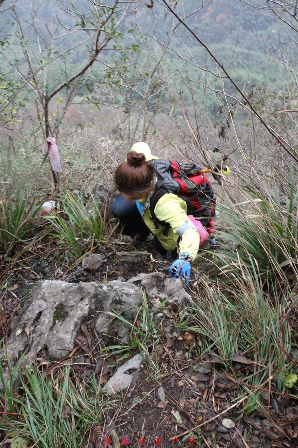 mmexport1511313820209