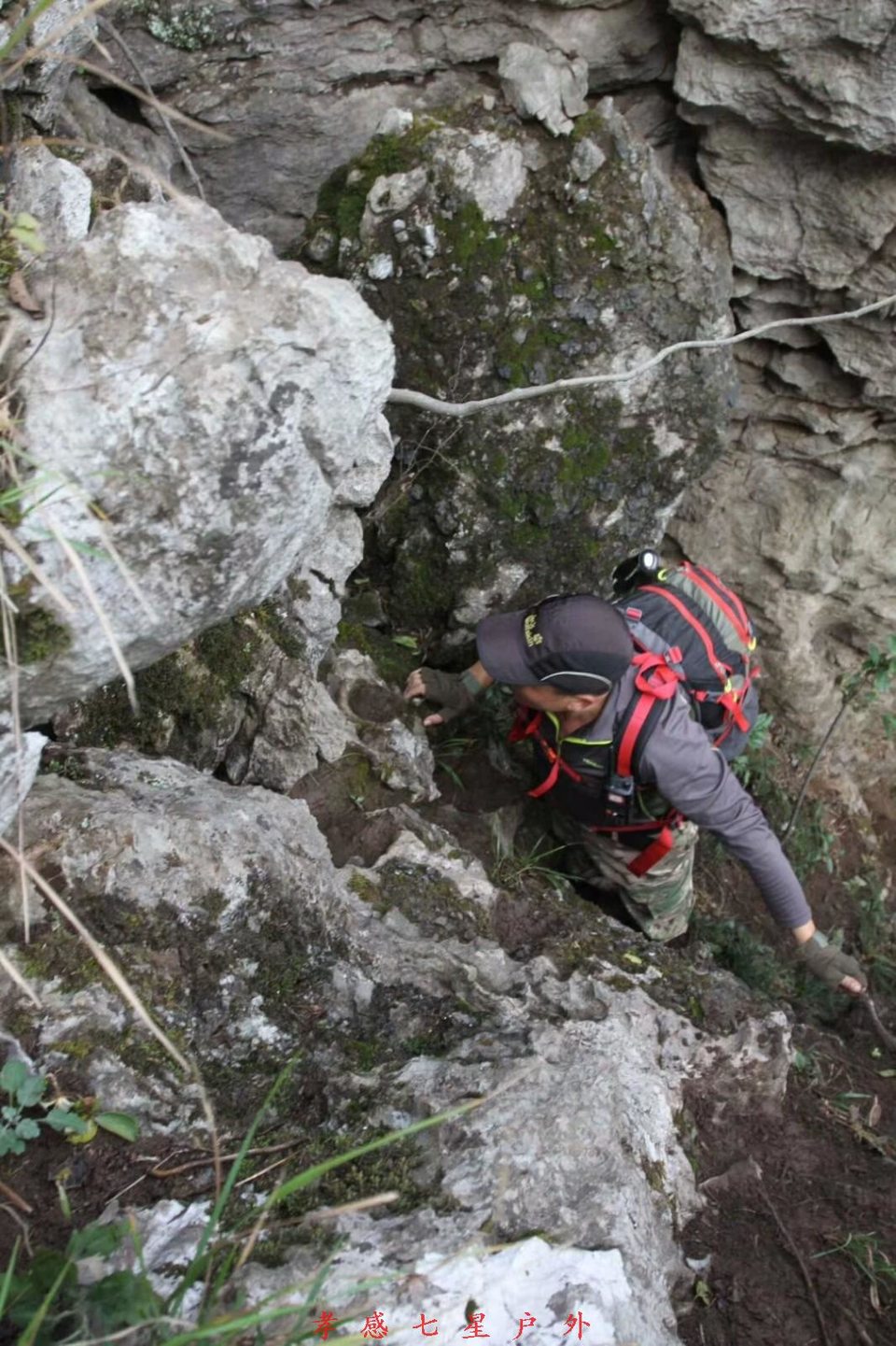 mmexport1511400237393