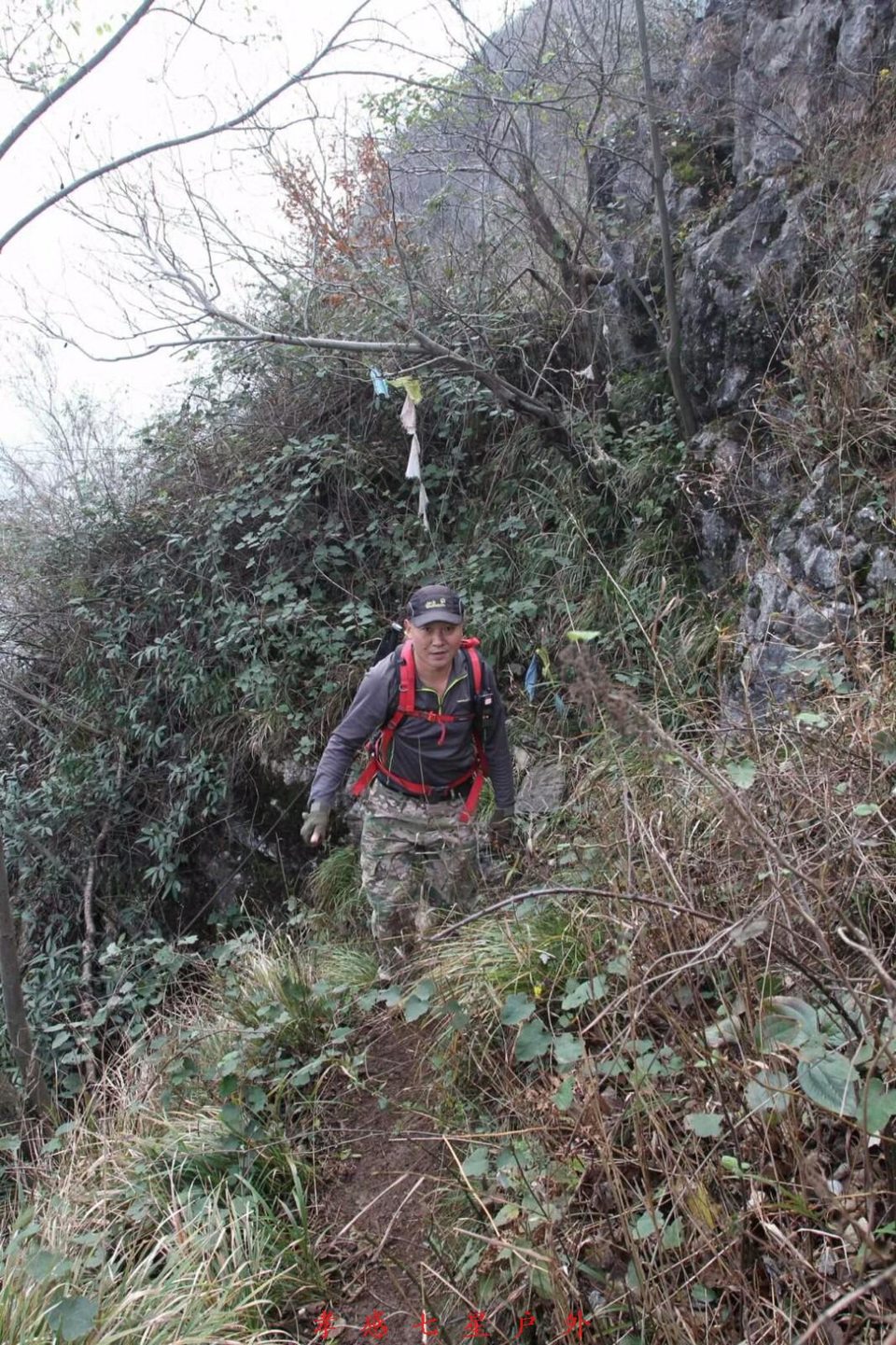 mmexport1511400222501