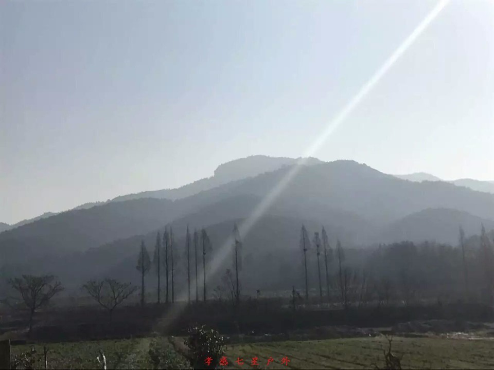 mmexport1492052376140