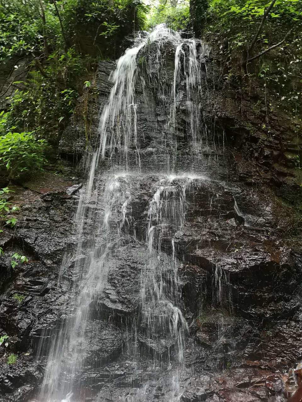 G7DEOuCYgUbDD-hV0rv5zSxCzns7irgXvFG_GGwGJByq3fdMaLBw3jhWEY6t4R33