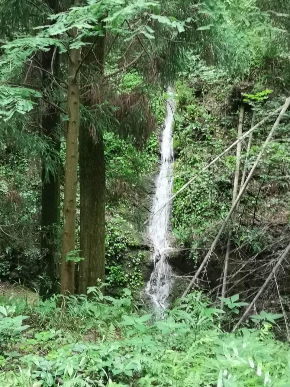 h_SV1At6v_iWFr4l7u5oHYCRNy4_qze7qEDpWfWBWVpAiPfcnjDNdsaL4nxfvFsV