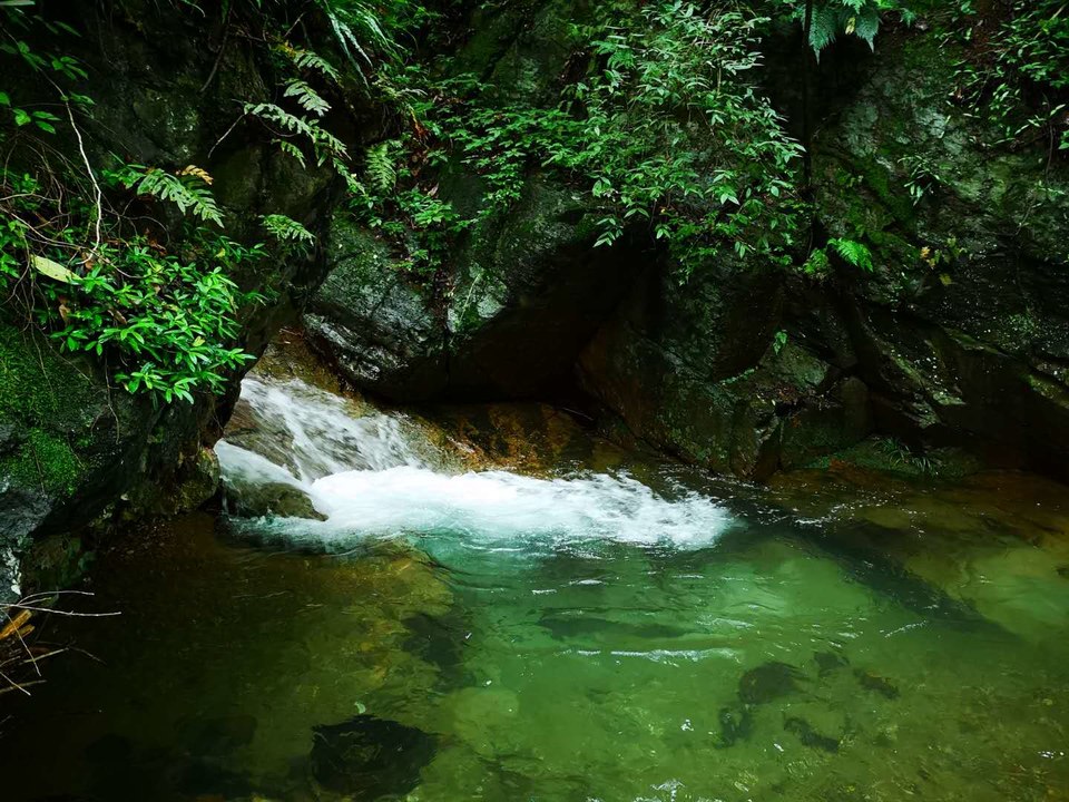 l5qPP2E0db2MxRABYIYU3wAeZavnHn9zAhszzRthIfYX8Ctcs7eVaYm3MRvXSa8J