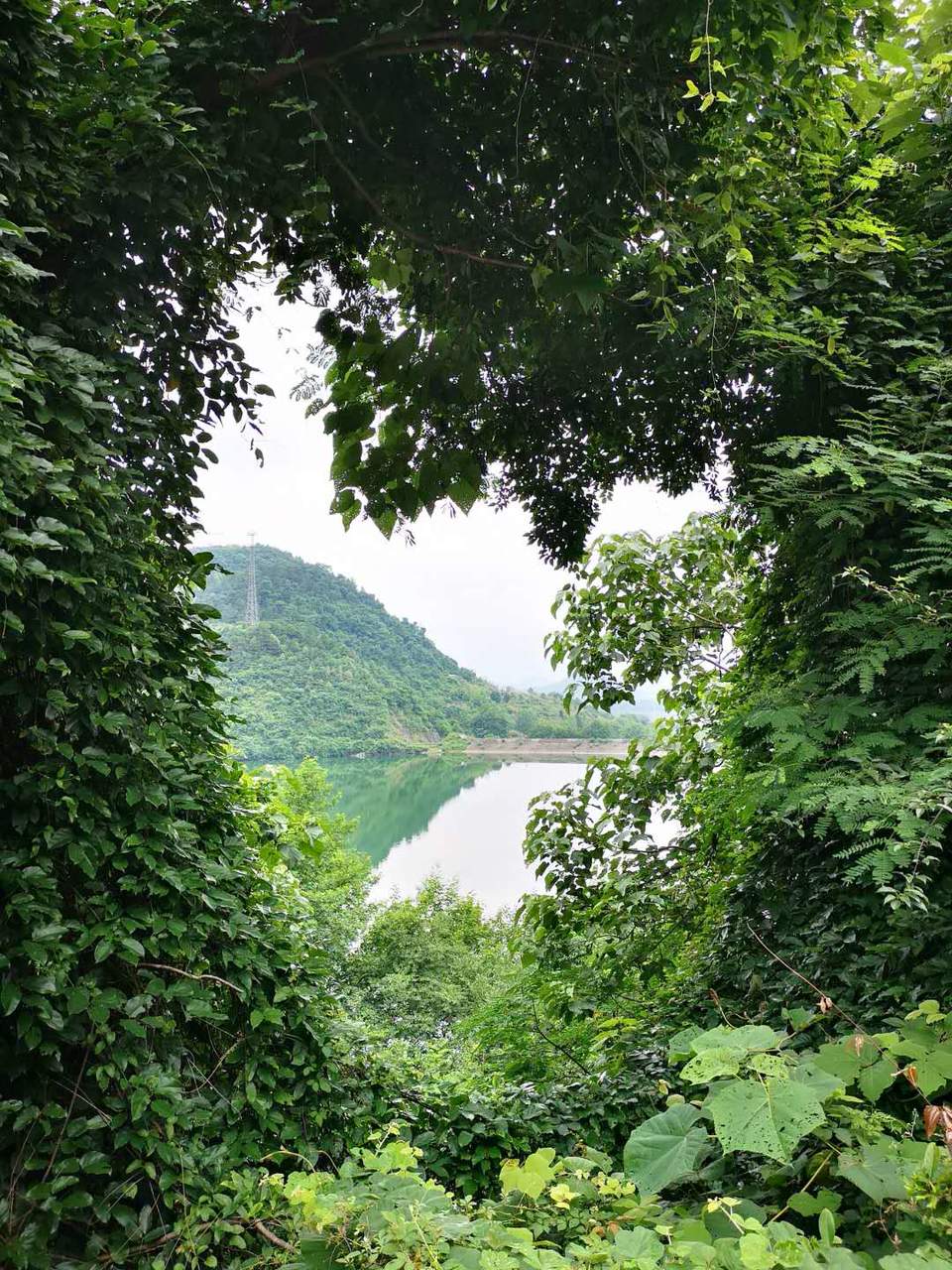 B28QXv9qbXX0jXbRtS1H0d5mNe_d9-iQnkBLhI3ZjMtb5AYNsEzZirnO1EjBrjKf