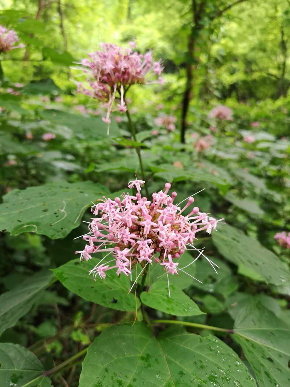 POsI6REMRx5VHWNxAfwHHhxYdTel1A6OBGG8BQMM3zGDkns83C7S-RYV26j4HpH7