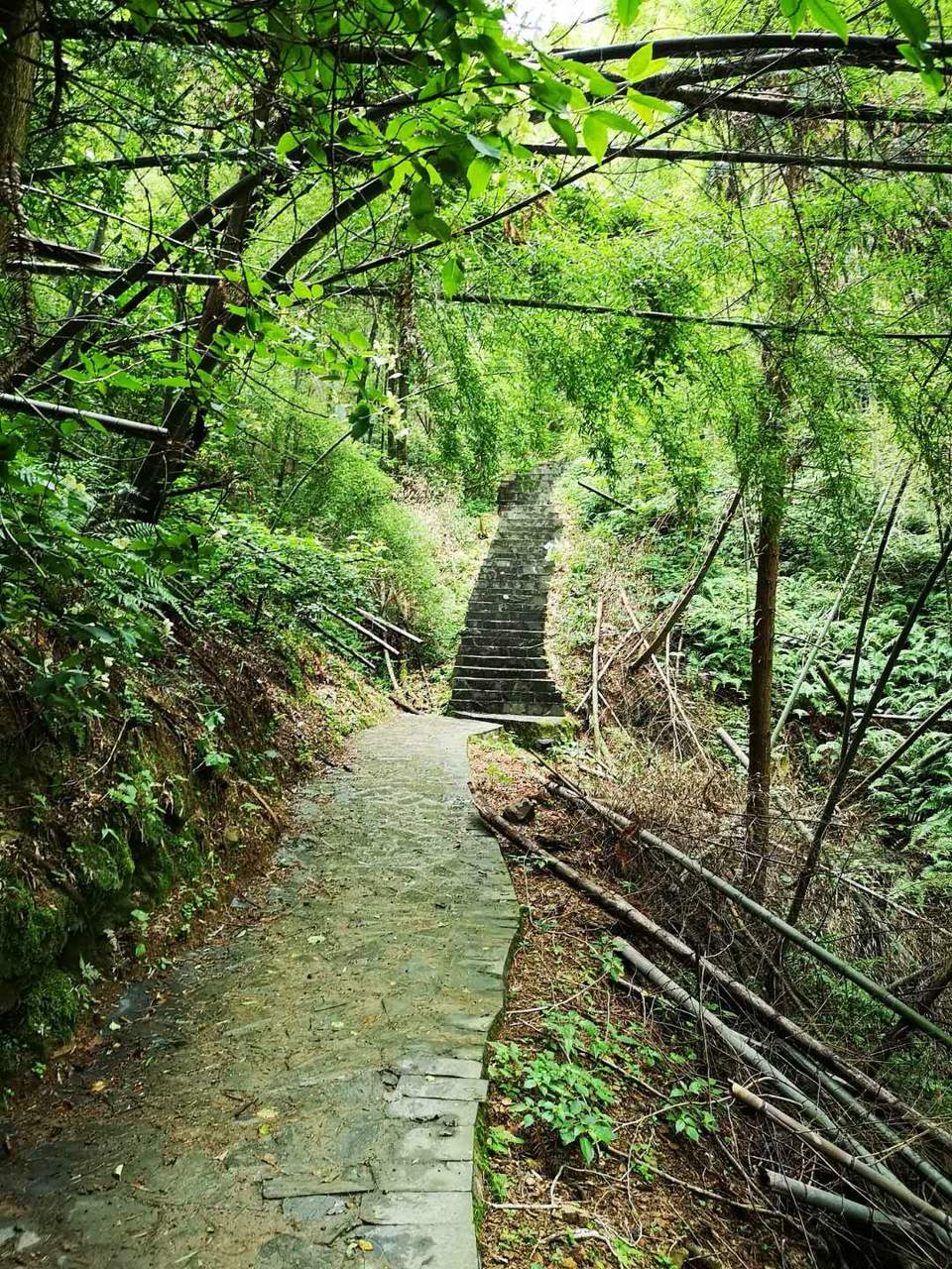 h_kHEHYfFAoYn7b-2K60n_dxnkcTKQlwa65eSyy2A_Xecnkg8-pri0YX1OC4-6lX