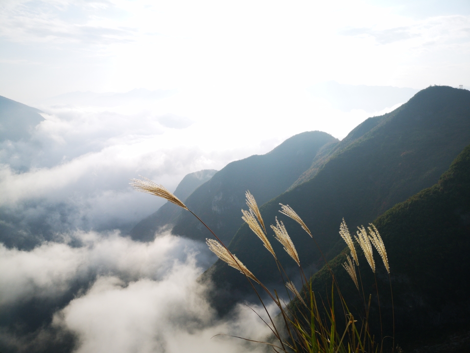 cptV_2my1VpILg4aW0HvRFjxj9WmN_TIyOnwywbFXkBaTW3pxJf0dw1j82HOh-W8