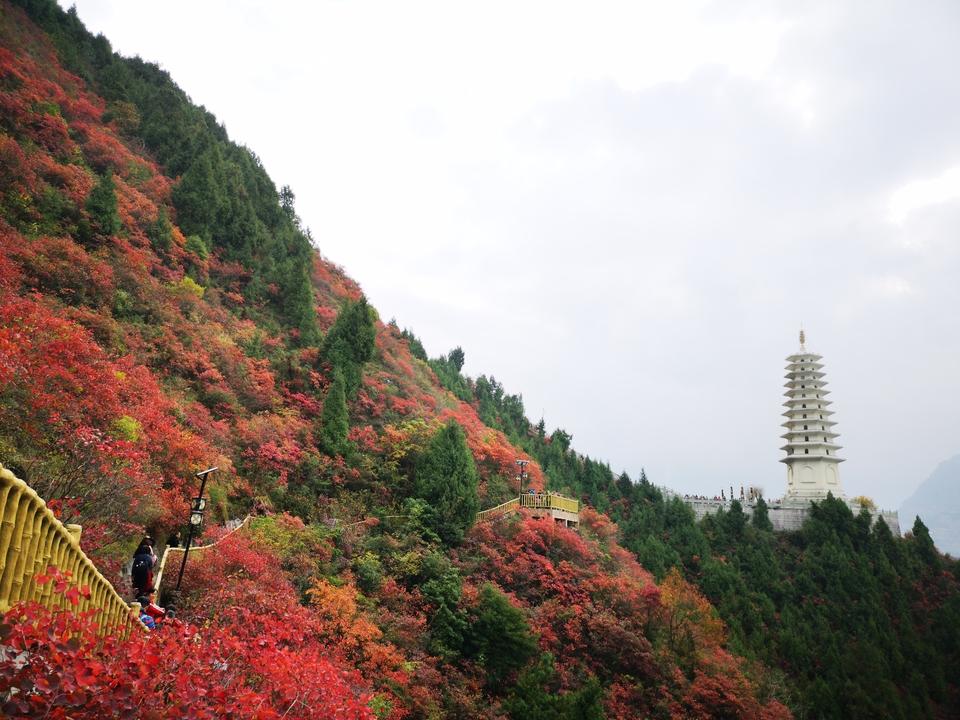 6p2Udn6_UtEq0BNIganMqjVCxbljkDGO9Sfnf6MWli8Rn_tkjIf7yPwo_Taf4Tev