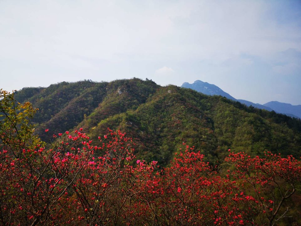 rAWdRKCW3-1YJ8i3alZc6SYXP5XyUq512hMCyE9UnFiHarPRRh2xMtFO_ja7mRwW