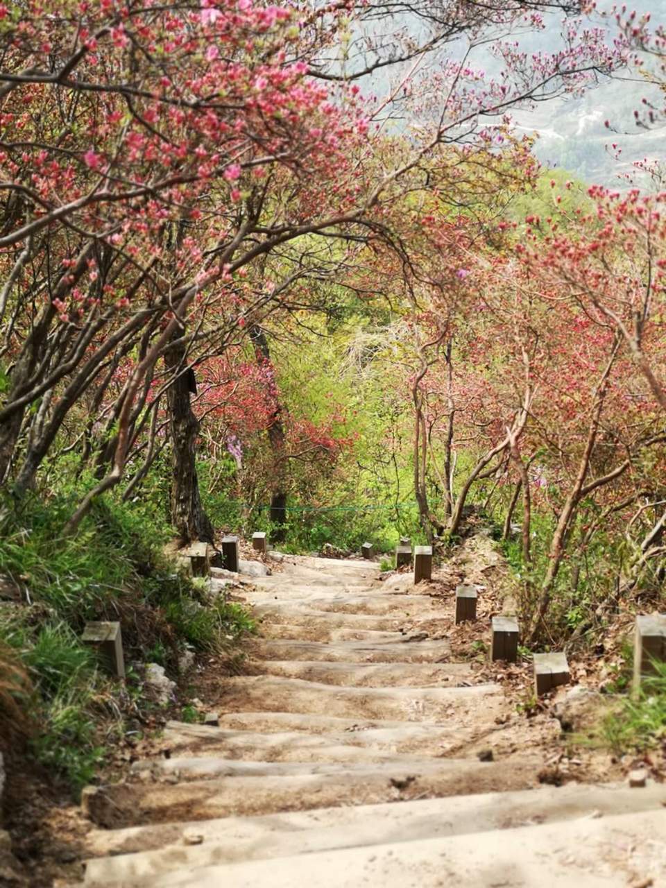 Hzfw91TBEZw2Tgi_9FjRxAzhj_o4SJZTlNuc_1a-ndMl7Kn8fovJ0ghyYlk3gEv9