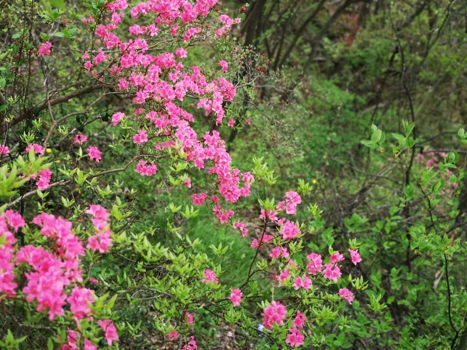 FmRmt-8tGb9OVyju_InyMRi3m_xDDaUS5twUGpVo_gR_LHmSGhmoG3yGd4CwOaDG