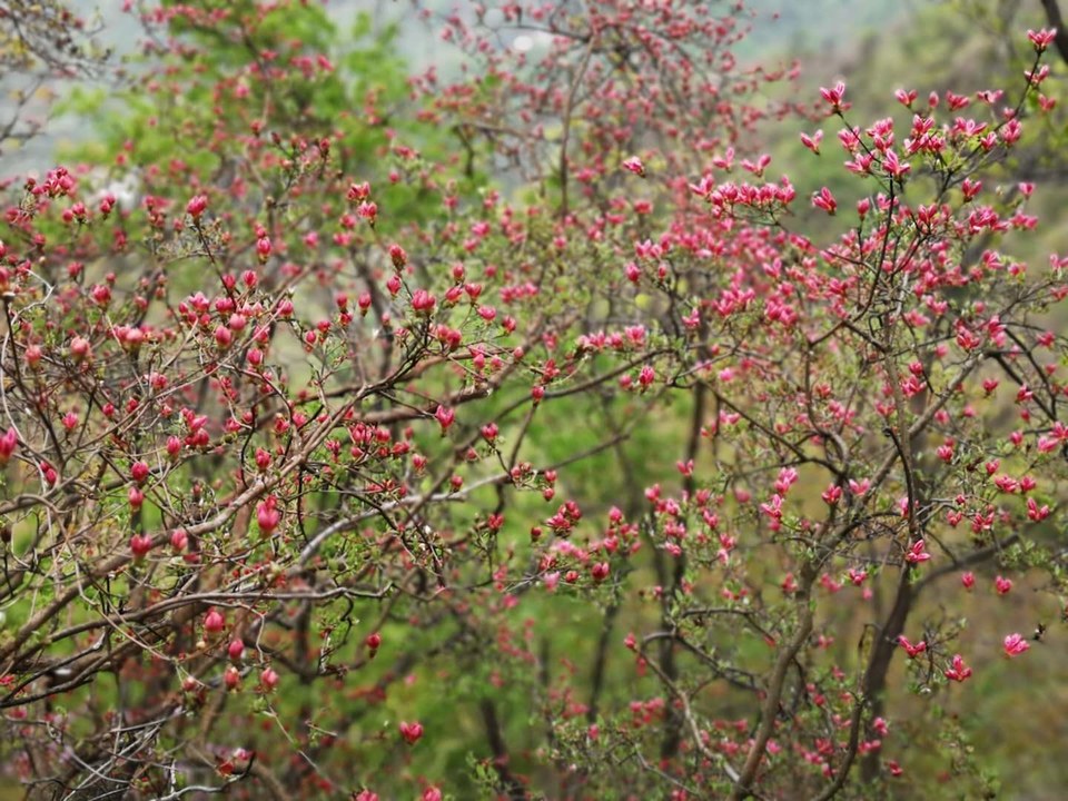 mK5G8ZqjHXLyyt7tdlXHAW04AVzoMVWaEOMk2XPR2QNniSJ87C9RWgbaEnxlNAgr