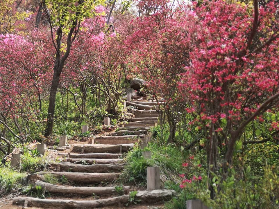 7I4hNazMJZ5Ex6M4kZrNDotuM-cFF1W7qDcKKSzEO6Lh_nqr2I1AbeWabg2QQSTV