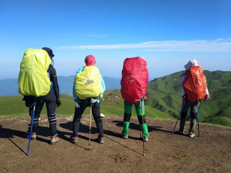 mmexport1494807896536