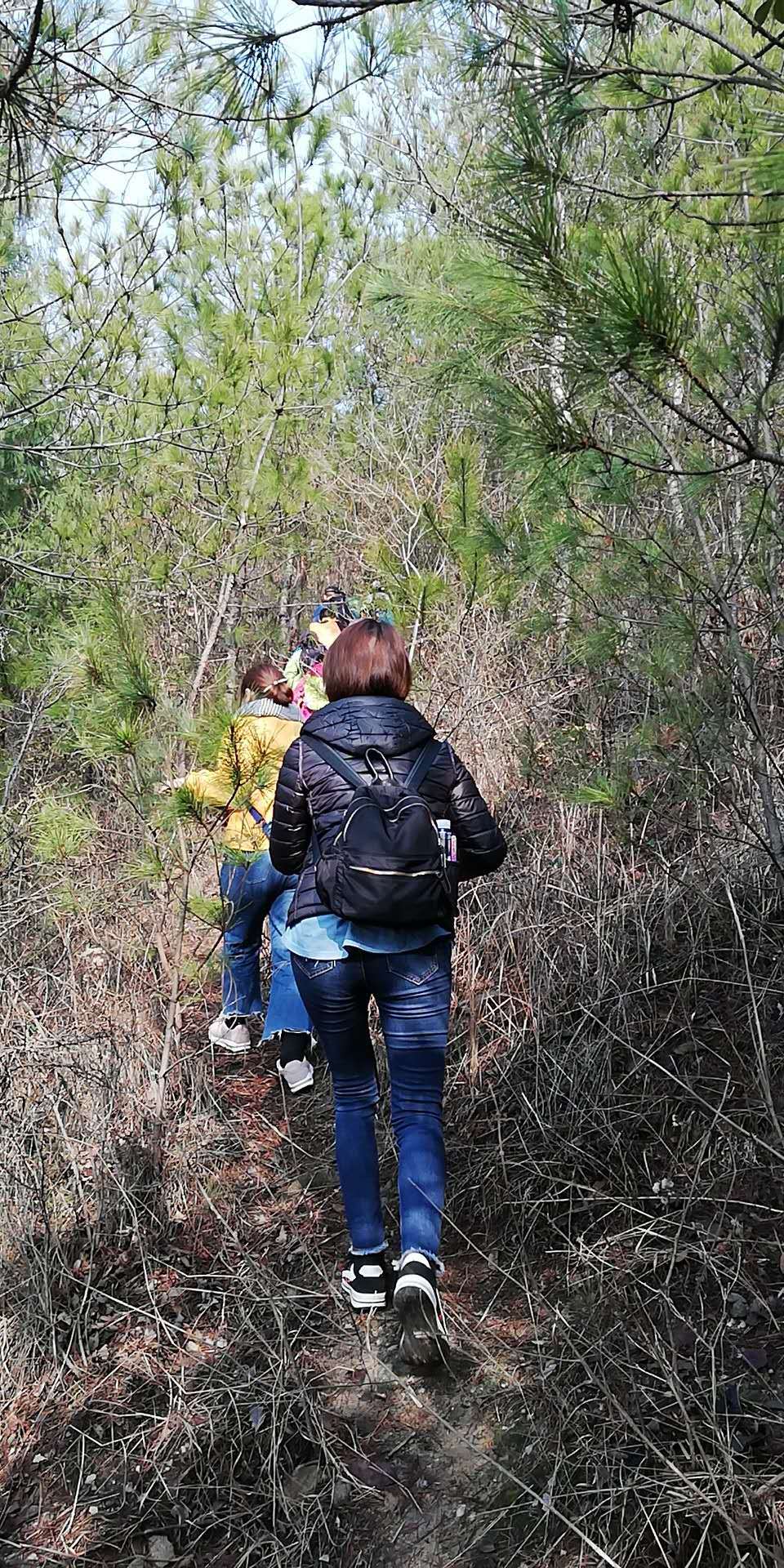 YxA1YR3DCjwIs9X-zgjCHA3g8oIEcwPVmt252AG51Q8z7MZRvS_nXZihEZ5CafgY