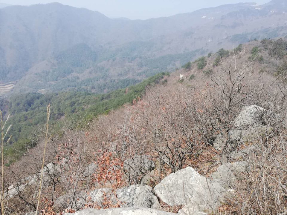 rJ_CwglNGXsXKpyqhaUQedmz-YH99AD4HWsg559lEhZiwOk45JrzCt59MSiRhEZl