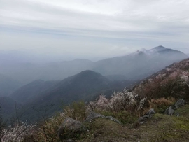 khWsN-MWlY797OdniPktdfsKTbXghxwZPI26DYIYp3Gc8cUt8Dq8AhlqueCrGx7_