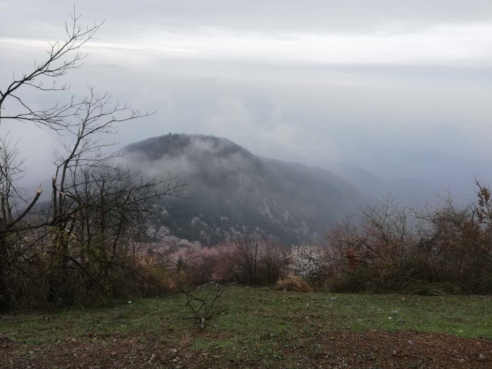 2Jm7givA3X7uTXzAYd8kSQv-EvDob-G0o6F_HAXJhAVphmD_HR1vmjrfWnGt7XEk