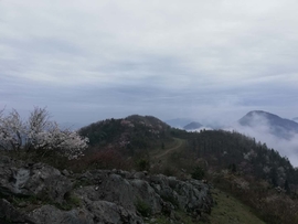 V-QgliHHz59AzDfz0vgcrRGmScPvRK_JnE4ktQqA7g4JvGOGFK53NXbEzFaaZat4