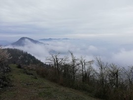 ybNgGeVd80Gl02Ja7b7nmx9fLiLrn1fYKpBETpOxDT9wpuT1_zeQVsN5X2F81fCA