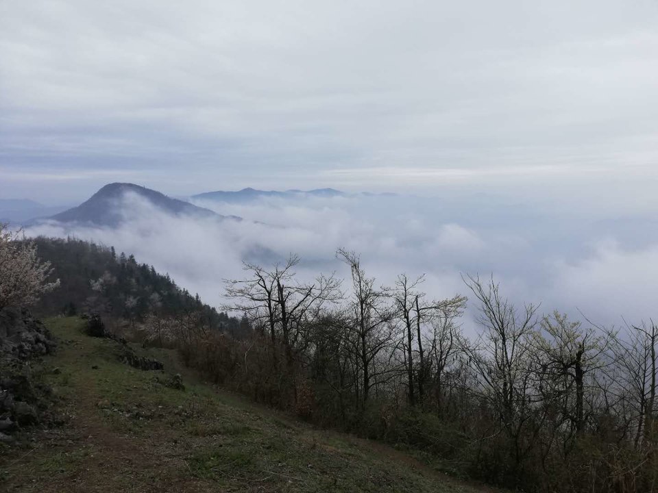 ybNgGeVd80Gl02Ja7b7nmx9fLiLrn1fYKpBETpOxDT9wpuT1_zeQVsN5X2F81fCA