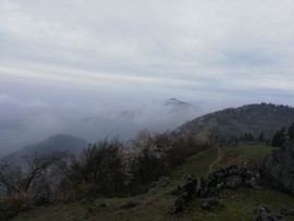 dZNKYAdI49Q2-ziWlha_7f9tQe-B9ZDVIu98I1z9x_qgnCDz_ZpromUgJo8g9Kov