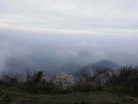 OlMn5tTGuZGPHIng3QSYHbBsy-ieBv_uCgpbVVweEzh1L0ZhFUZZdcL4UxKo9mR7