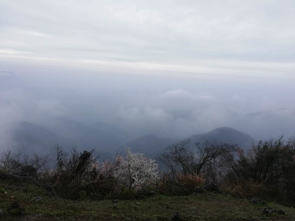 OlMn5tTGuZGPHIng3QSYHbBsy-ieBv_uCgpbVVweEzh1L0ZhFUZZdcL4UxKo9mR7