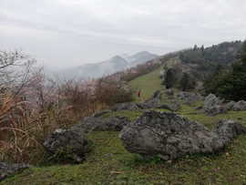 mS0spDCLnIlzUp7E_CvPuyq3Kv92p3Trg5SRcgPQNTSVKfX9Gp2d_ZShZ25ZW_U2